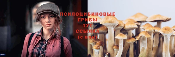 тгк Верея