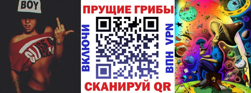 Галлюциногенные грибы прущие грибы  купить   это телеграм  Ельня 